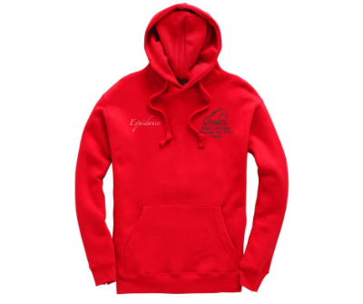 Dressage to Music League Champs Childs Hoody