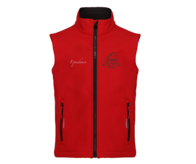 Dressage to Music Champs Childs Softshell Gilet