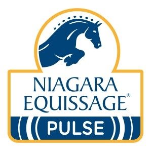 Equissage logo