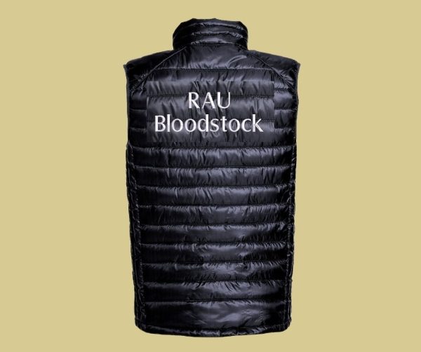 RAU Bloodstock Ladies Padded Gilet