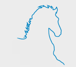 UKFS Friesian Horse Head